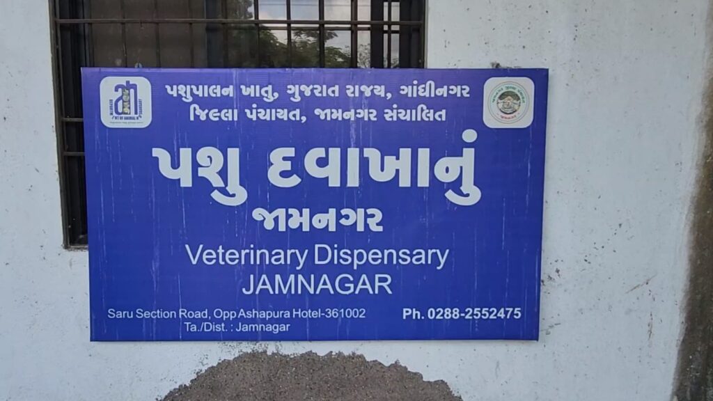 Govt sends half lakh vaccine doses overnight after audio of two doctors of Jamnagar municipality goes viral