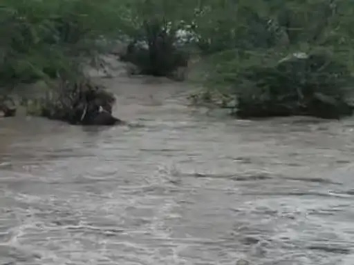 PHC doctor Tanaya in Behgamni river of Khambhaliya! Rescued