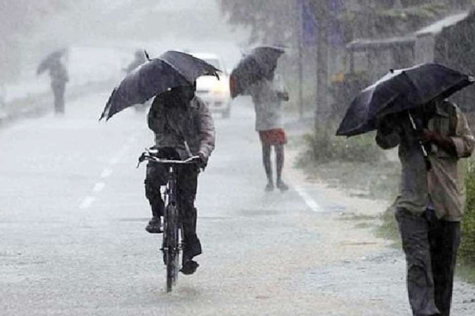 Megharaja, please! Heavy rains in many districts of Gujarat