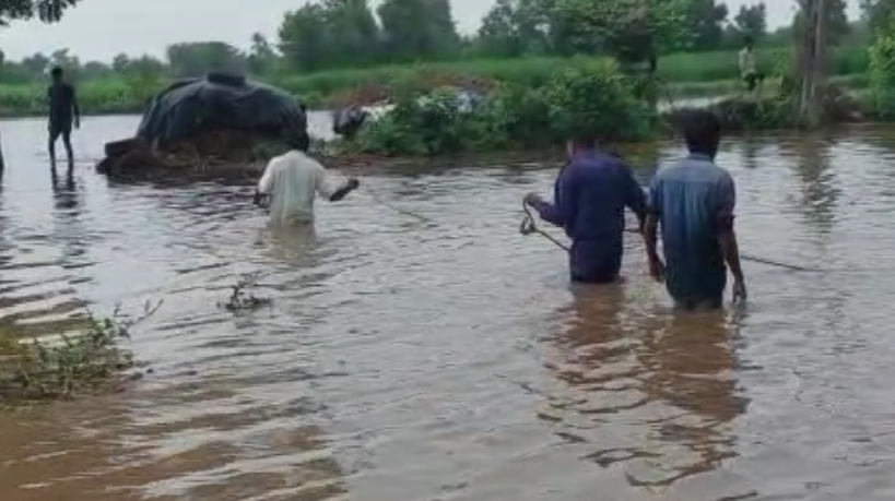 Megharaja, please! Heavy rains in many districts of Gujarat