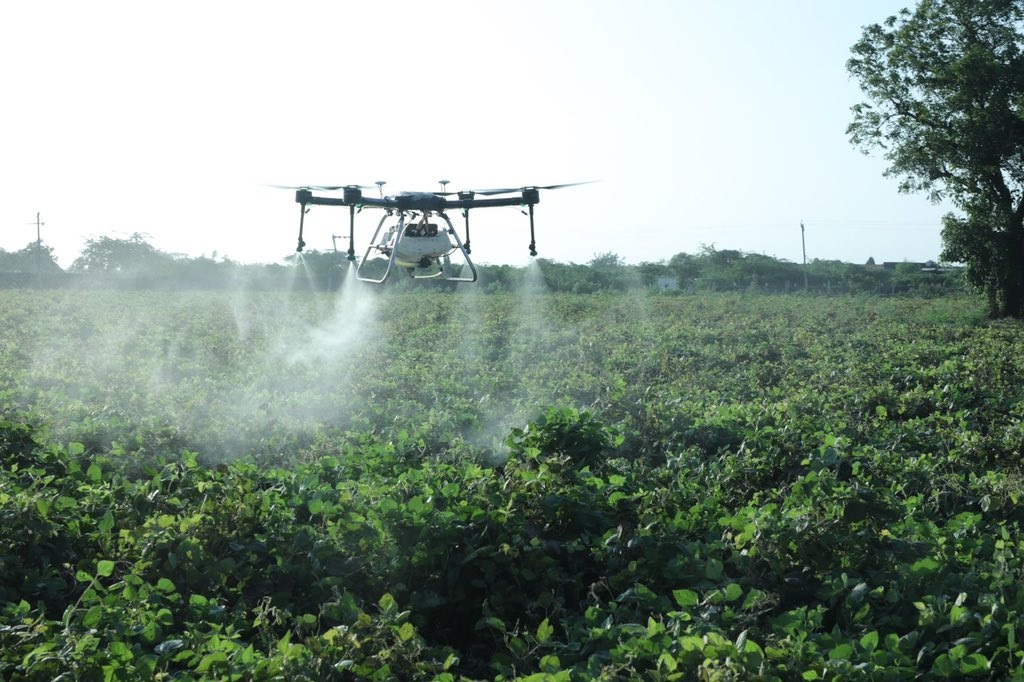 Initiative for farmers of Gujarat! Spraying of medicine in the field will be done with the help of drones