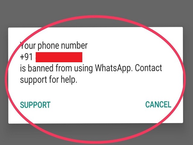 Caution! WhatsApp Blocked 2 Lakh Accounts: You too are not making this mistake