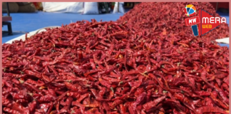 મોંઘા મસાલા / રસોઈનો સ્વાદ પડશે ફિક્કો, મોંઘવારીના માર વચ્ચે મરી-મસાલાના ભાવ પહોંચ્યા આસમાને