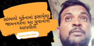 જમવાનું નથી , બોર્ડર સુધી જવા ટેક્ષી નથી ,બજારો બંધ છે…