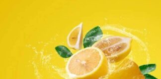 લીંબુ ચોર : વેપારીના ગોડાઉનમાંથી થઈ લીંબુની ચોરી, શું હવે બંદૂકધારી કમાન્ડો રાખવા પડશે ?