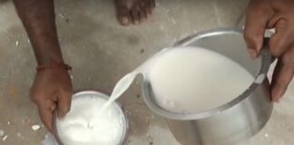 ગુજરાતમાં કેમિકલ કાંડ વચ્ચે જામનગરમાં SOG એ પકડી બનાવટી દૂધની ફેક્ટરી Amid chemical scandal in Gujarat, SOG nabs fake milk factory in Jamnagar