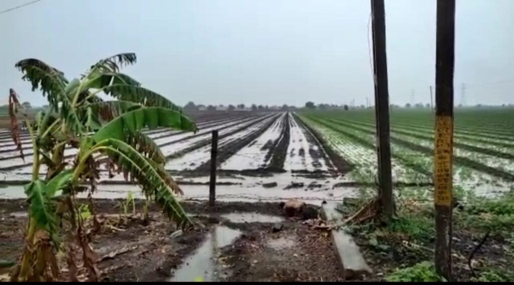 Megharaja showering kindness in Jamnagar panth! One inch of rain in two hours in Jamjodhpur