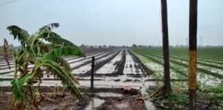 જામનગર પંથકમાં હેત વરસાવતા મેઘરાજા! જામજોધપુરમાં બે કલાકમાં એક ઇંચ વરસાદ Megharaja showering kindness in Jamnagar panth! One inch of rain in two hours in Jamjodhpur