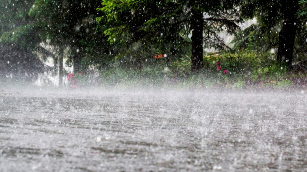 Heavy to very heavy rainfall forecast in these districts of Saurashtra-Kutch and South Gujarat,