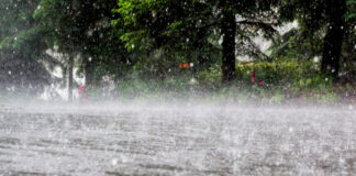 સૌરાષ્ટ્ર-કચ્છ અને દક્ષિણ ગુજરાતના આ જિલ્લાઓમાં ભારેથી અતિભારે વરસાદની આગાહી Heavy to very heavy rainfall forecast in these districts of Saurashtra-Kutch and South Gujarat,