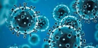 ચિંતાની વાત! ભારતના ૧૦ રાજયોમાં કોરોનાના નવા BA.2.75 વેરિઅન્ટના 69 કેસ Worrying! 69 cases of new BA.2.75 variant of Corona in 10 states of India