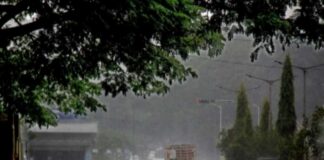 ગુજરાતમાં આવનારા 5 દિવસ સુધી મેઘરાજા મહેરબાન થશે Meghraja will be gracious in Gujarat for the next 5 days