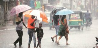 છેલ્લા 24 કલાકમાં જામનગર જિલ્લા પર મેઘરાજા બન્યા મહેરબાન! In the last 24 hours, clouds have been kind to Jamnagar district!