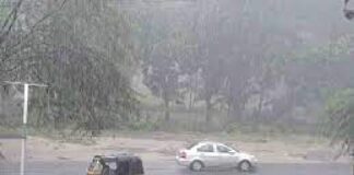 રાજયમાં આ તારીખથી ફરી વરસાદનું જોર વધશે! અહી વરસાદ પડી શકે છે From this date, the rain will increase again in the state! It may rain here