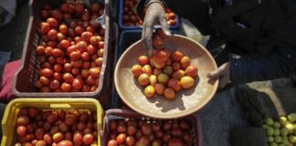 પાડોશી દેશ પાકિસ્તાનમાં મોંઘવારીએ માઝા મૂકી! ટામેટાં 500 રૂપિયા થયા Inflation in the neighboring country Pakistan put me! Tomatoes cost Rs 500