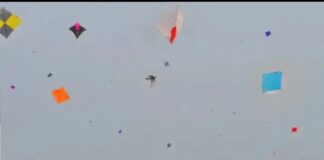 ભૂલ્યા વગર વાંચી લેજો, મકરસંક્રાંતિના દિવસે પતંગ ઉડાડશો તો જેલ થશે! સરકાર પાસેથી લેવી પડશે પરમિટ, જાણો શું છે આ કાયદો