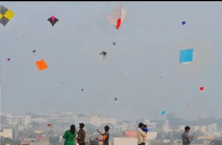 ભૂલ્યા વગર વાંચી લેજો, મકરસંક્રાંતિના દિવસે પતંગ ઉડાડશો તો જેલ થશે! સરકાર પાસેથી લેવી પડશે પરમિટ, જાણો શું છે આ કાયદો