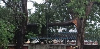 જામનગર અને દેવભૂમિ દ્વારકા જિલ્લાના કુલ 529 ગામોમાં વિજ પુરવઠો ઠપ્પ , નુકસાનીનો સર્વે હજુ ચાલુ , વિજ પુરવઠો ક્યારે પૂર્વવત થશે તેનો હાલ કોઈ અંદાજ નહીં