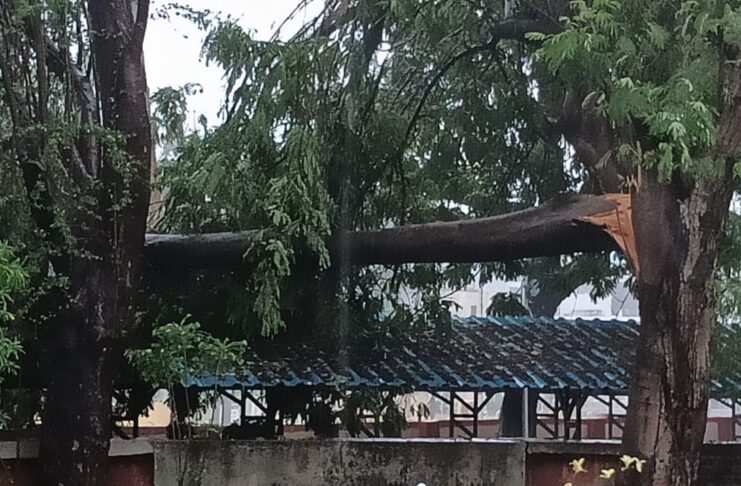 જામનગર અને દેવભૂમિ દ્વારકા જિલ્લાના કુલ 529 ગામોમાં વિજ પુરવઠો ઠપ્પ , નુકસાનીનો સર્વે હજુ ચાલુ , વિજ પુરવઠો ક્યારે પૂર્વવત થશે તેનો હાલ કોઈ અંદાજ નહીં