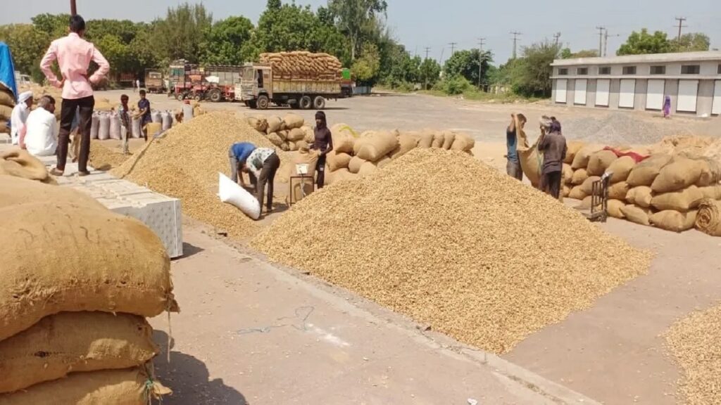 Support prices announced for crops of groundnut, sugarcane, sugarcane and soybean in Jamnagar district