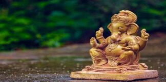 BBMP ગણેશ ચતુર્થી અંગે કડક, બેંગ્લોરમાં માંસના વેચાણ પર પ્રતિબંધ; જારી કરી નોટિસ BBMP strict on Ganesh Chaturthi, ban on sale of meat in Bangalore; Notice issued