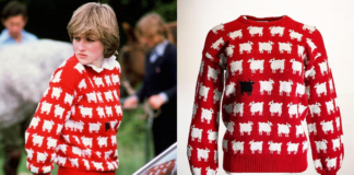 42 વર્ષ પહેલા આ ખાસ દિવસે પહેરવામાં આવ્યું હતું પ્રિન્સેસ ડાયનાનું ‘રેડ સ્વેટર’ 9 કરોડમાં વેચાયું Princess Diana's 'red sweater' sold for 9 crores on this special day 42 years ago