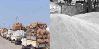 રાજ્ય સરકાર દ્વારા લઘુતમ ટેકાના ભાવથી જિલ્લાના ખેડૂતો પાસેથી ટેકાના ભાવે સીધી ખરીદી કરવામાં આવશે The state government will purchase directly from the farmers of the district at the minimum support price at the support price