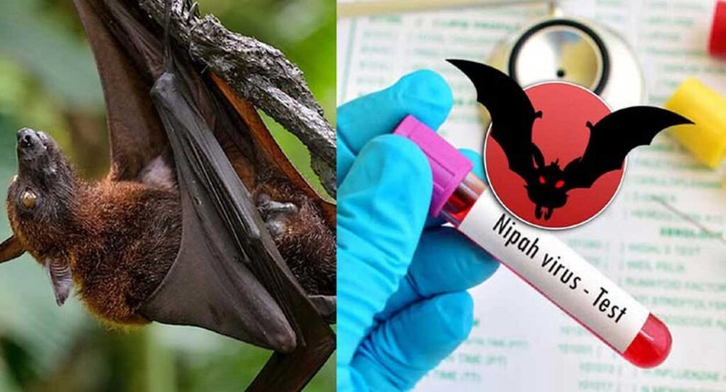 Alert issued amid rising Nipah virus threat in Kozhikode, Health Minister holds high-level meeting