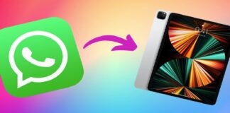 આઈપેડમાં આવી રહ્યું છે WhatsAppનું બીટા વર્ઝન, એપલ યુઝર્સ માટે ખાસ છે આ અપડેટ Beta version of WhatsApp is coming to iPad, this update is special for Apple users
