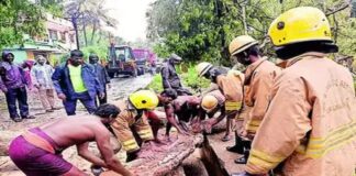 વરસાદ બન્યો આફત, તમિલનાડુના કન્નિયાકુમારીમાં વીજળીનો આંચકો લાગવાથી ગર્ભવતી મહિલા સહિત એક જ પરિવારના 3 સભ્યોના મોત. Rain turned disaster, 3 members of the same family, including a pregnant woman, died due to lightning in Tamil Nadu's Kanniyakumari.