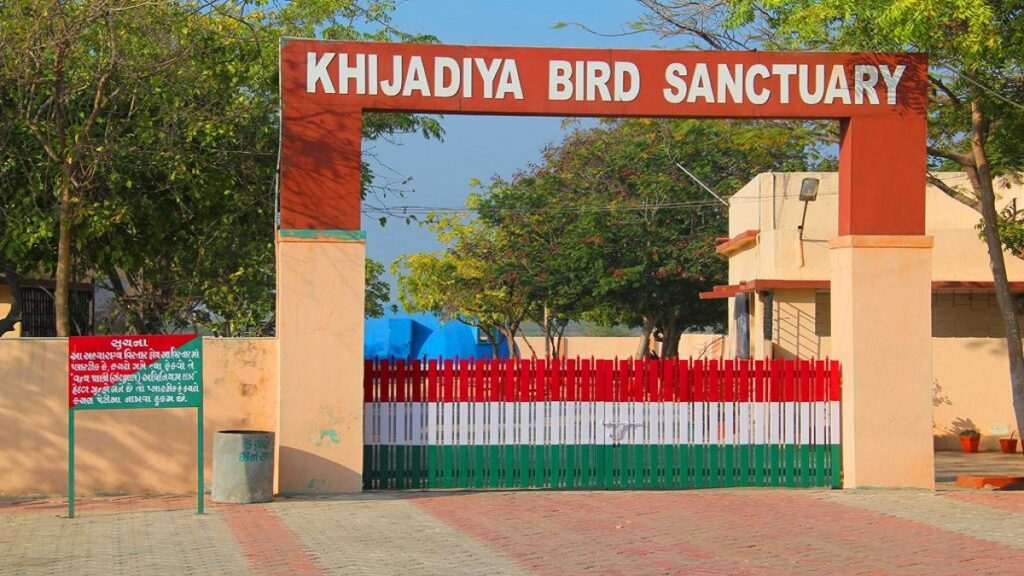 Today is World Animal Welfare Day, Wildlife is our pride.. our precious heritage.