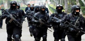 ભારત પર થયો ઈઝરાયેલ જેવો આતંકવાદી હુમલો તો સામનો કરવી રીતે કરશે? NSG બનાવી રહી છે વ્યૂહરચના How to deal with a terrorist attack like Israel on India? NSG is making a strategy