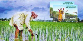 હવે માત્ર 14 દિવસમાં જ બનશે KCC કાર્ડ, 31 ઓક્ટોબર સુધી છે સમય, તરત જ અરજી કરો