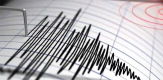 કેરેબિયન દેશ હૈતીમાં ભૂકંપના આંચકા, રિક્ટર સ્કેલ પર મપાઈ આટલી તીવ્રતા Earthquake tremors in the Caribbean country of Haiti, measured on the Richter scale