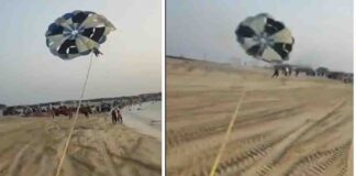 દ્વારકામાં શિવરાજપુર બીચ પર થયો અકસ્માત, પેરાગ્લાઈડીંગ કરતો યુવક હવામાંથી નીચે પટકાયો, જુઓ વીડિયો Accident occurred at Shivrajpur beach in Dwarka, paragliding youth fell from the air, watch video