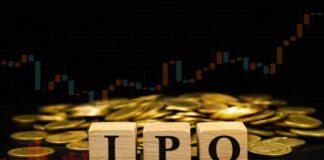 IPOમાં રોકાણકારોને મોટો નફો મળ્યો, શેર લિસ્ટિંગ સાથે બમણા થયા રોકાણકારોના નાણાં Investors get huge profits in IPOs, investors' money doubles with share listing