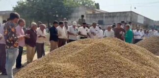 જામનગરમાં લાભ પાંચમના શુભ દીવસે યાર્ડમાં મગફળીની એટલી આવક થઈ કે આજે જ આવક પર રોક લગાવવી પડી