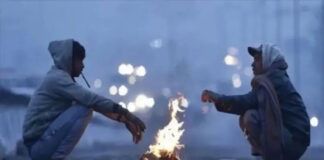 જામનગર શહેર અને જિલ્લોમાં ઠંડીનું આગમન: ઠંડીનો પારો સડસડાટ 14.5 ડિગ્રી સુધી નીચે ઉતરી જતાં કાતિલ ઠંડી