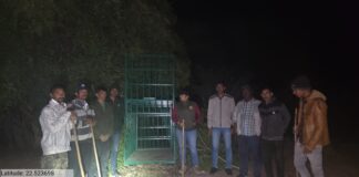 જામનગરના ખીજડીયા પક્ષી અભ્યારણમાં ઘૂસી આવેલા દીપડાને શોધવા માટે ફોરેસ્ટ ટુકડી દ્વારા નાઈટ પેટ્રોલિંગ