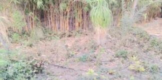 ભ્રષ્ટાચાર: જામનગર જિલ્લાના ધ્રોલના શહીદવનમાં દર મહીને અંદાજીત પાંચ લાખ જેટલી સરકારી ગ્રાન્ટની ઉચાપતનો સણસણતો આક્ષેપ !!